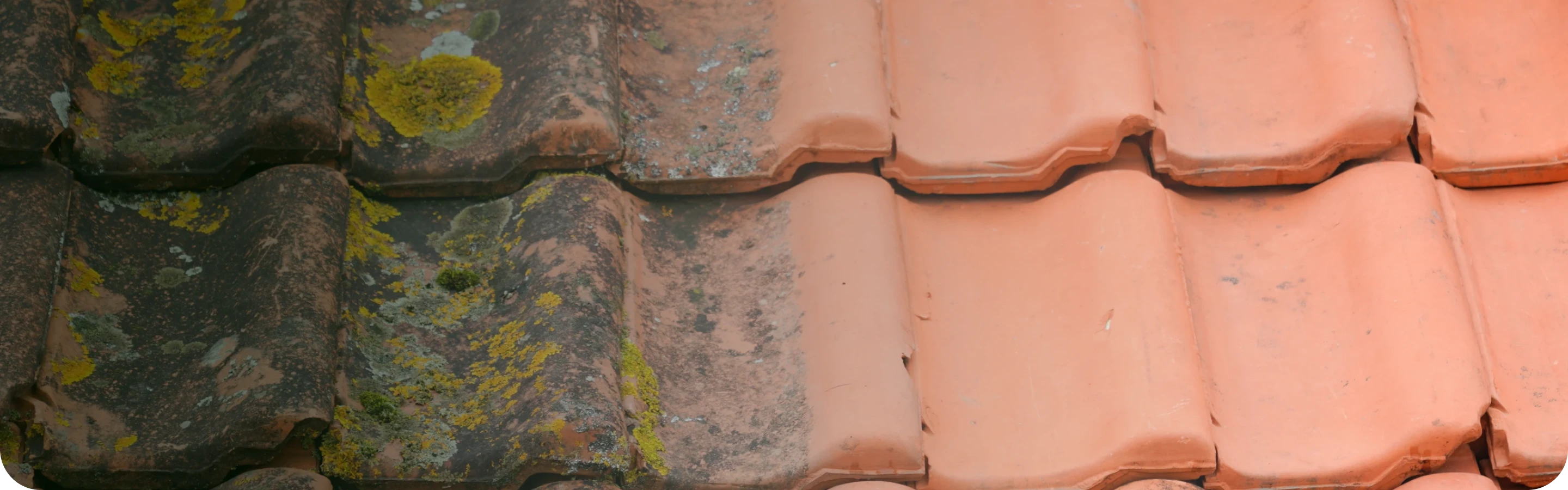 Toiture recouverte de mousse à gauche et propre à droite